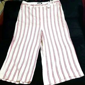 Express branded dress pant